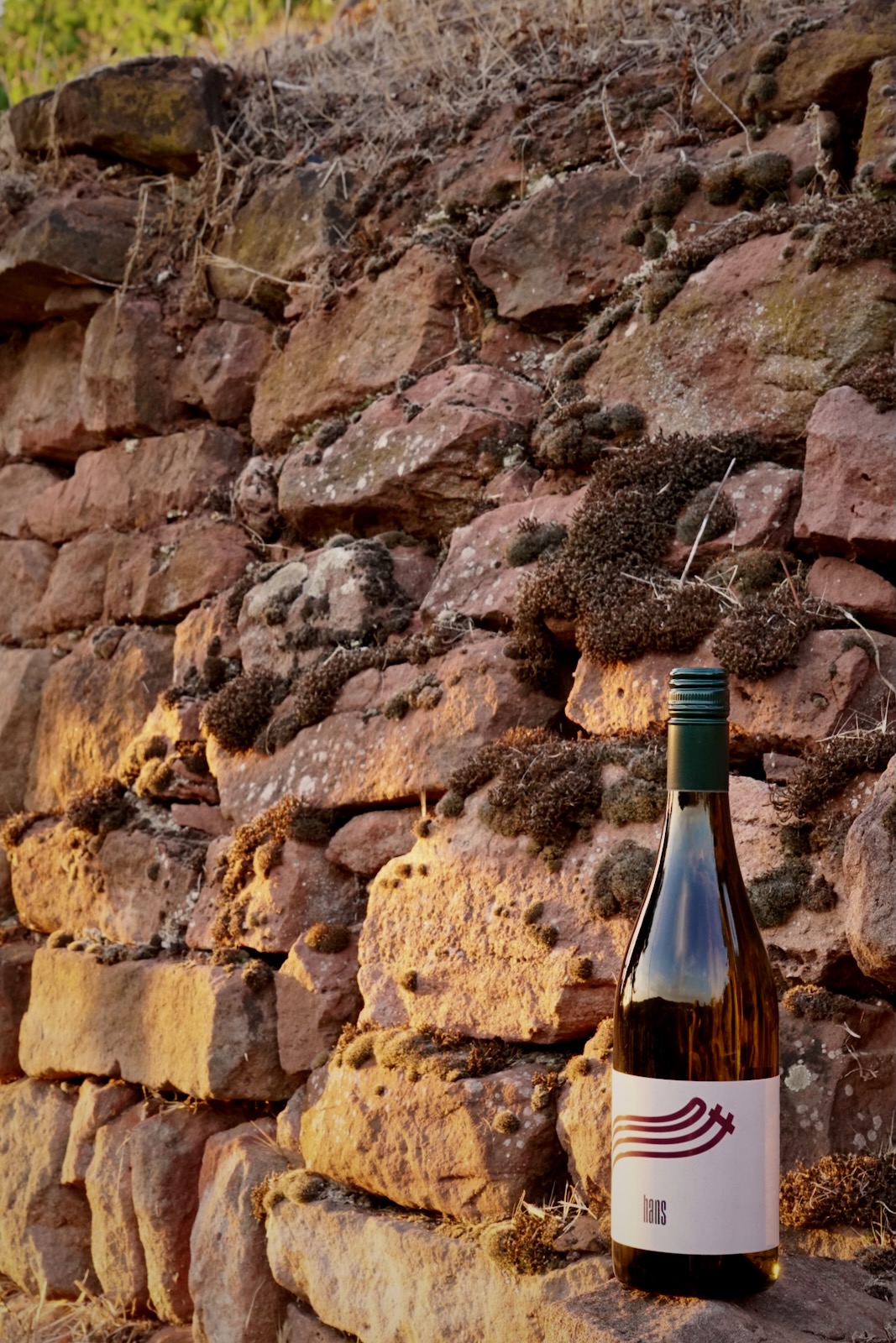 Hans – Cuvée aus Sylvaner und Riesling